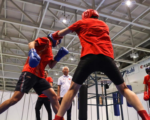 2020年東京奧運會拳擊比賽 賽事組織與特色