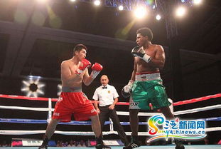 2015世界拳擊聯賽三亞落幕 中國龍不敵墨西哥勇士，拳擊賽事組織迎發展契機