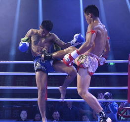 中國散打團(tuán)力克七位泰拳王，魅力無法擋